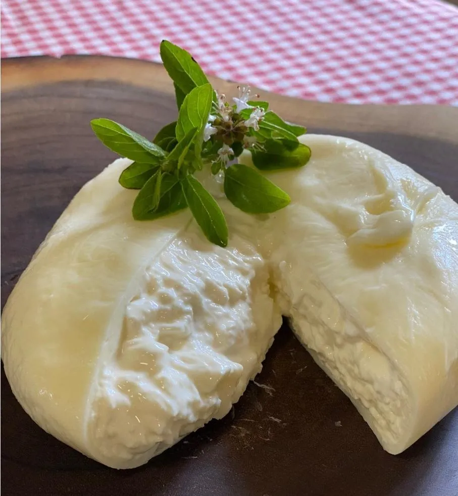 Burrata Fresca